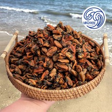 바다어보 국산 햇 건홍합 / 홍합조림 마른홍합 말린홍합, 1개, 500g