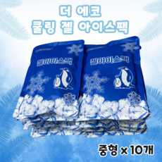 더에코 프리미엄 강력 젤 아이스팩 쿨 친환경 얼음팩 중형, 10개, 10개 1세트, 10개