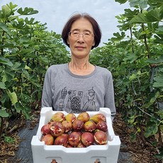 전남 영암 산지직송 무화과, 1개, 무화과 1kg