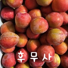 김천자두 후무사 대석 도담 추희 왕 자두, 3kg, 1개