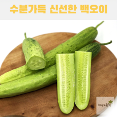 백다다기오이-추천-상품