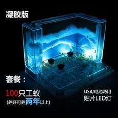 개미집 개미 공방 성 장원 별장 농장 관찰 케이스매우 빅사이즈 포장 2020, T10-L56-블루타이 램프(100작업 개미)이년