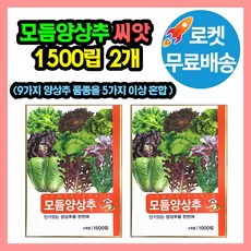 9종 모듬 양상추 씨앗 고급채소 특수야채 맛도좋고 인기있는 양상추 9종모음, 2개