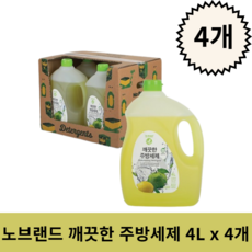 gs 노브랜드 깨끗한 주방세제 4L 4개입(1박스), 16개