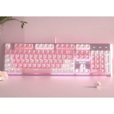 타이핑고래 TOP01