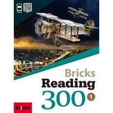 브릭스리딩300