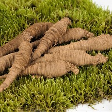 유기농 강원도 정선 산더덕 특 1kg, 1개, 단품