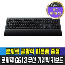 로지텍g100s키보드