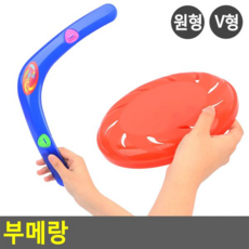 부메랑원반