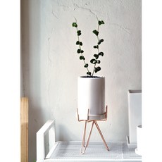 바로크벤자민 화이트 화분 세트 - 실내 식물인테리어