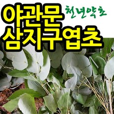 삼지구엽초주