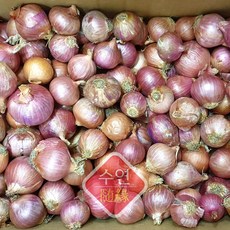 [수연중국식품] 중국양파 미니양파(모충), 1봉, 1kg