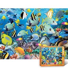 오션파라다이스