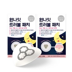 스노우투플러스 원나잇 트러블패치 12매입x2팩 세트, 12개, 2팩