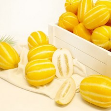 성주꿀참외 3kg 꼬마과(18과 25과내외) 최고당도17brix이상, 1박스, 상세페이지 참조
