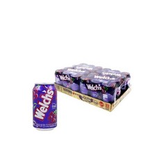 웰치스 소다 포도 355ml x24캔