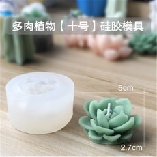 다육공예패키지