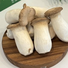 매일 매일 들어오는 신선한 새송이, 1박스, 미니 총알 새송이2kg