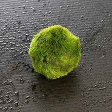 3f46f178fc8ab11b259d3626b8ef6b76fdb3f64af7dff4d981080b43b8a1.jpg