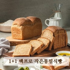 1+1 아침에 좋은빵 통밀100% 백프로 통밀빵 통밀식빵 식사빵 저당 저염 비건, 백프로작은통밀식빵+백프로작은통밀식빵