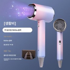 전기드라이어 가정용 미용실 전용 고출력 음이온 헤어 속건 무음 드라이기, 그라데이션 파우더, 1800w