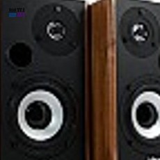 스마트클라우드 스피커앰프 ASHTON 2채널 스피커 AT-1000K WOOD BLACK 스피커앰프세트