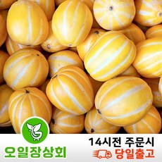 ( 오일장 상회 ) 당도선별 성주참외 가정용 참외 크기(랜덤) 1kg 2kg 5kg 10kg내외 상세내용확인, 1개, (랜덤)10kg내외