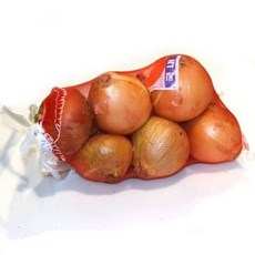 추천9 양파망파는곳