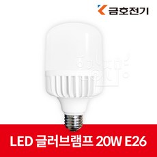 금호전기 번개표 LED 보안등 글러브램프 20W E26 10개입, 주광색, 1개