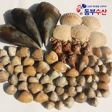  조개세트 2kg 4kg 조개구이 조개모듬 캠핑조개, [추가구성] 블랙타이거새우 20미, 1개 