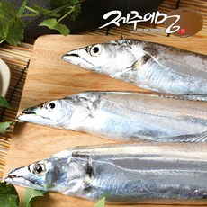 제주어멍 제주 은갈치 대 230g x 6미(24토막) 산지직송