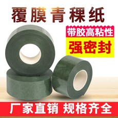 쇼킹플리머