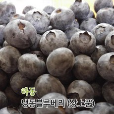 인씨네블루베리즙