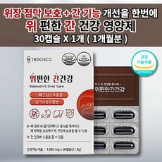 블렌텍825기능
