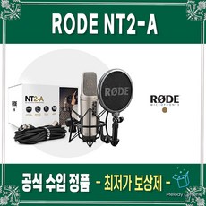 로데nt2a