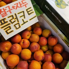 [초고당도] 플럼코트(자두+살구) / 당도보장 / 산지직송 / 중량선택