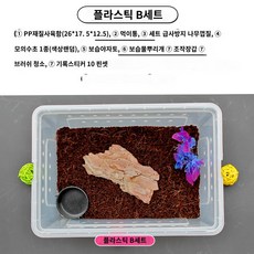 크레사육장 크레스티드게코 레오파드게코 파충류 육지거북이 소라게 아크릴사육장, 플라스틱(B세트)
