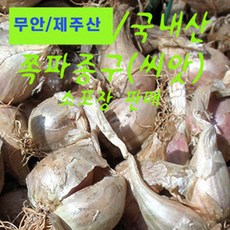 쪽파/종자/종구/씨앗/1kg단위/소포장/국내산쪽파종자, 1kg, 1개