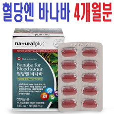 //상품명