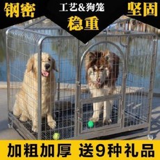 한라산애견호텔