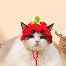 신축성 고양이 모자 귀여운 애완동물 강아지 새끼 니트 파티 사진, A.M, 1개