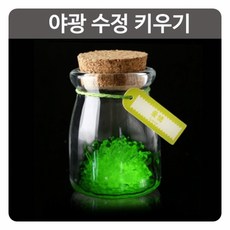 수정캐기탐험세트