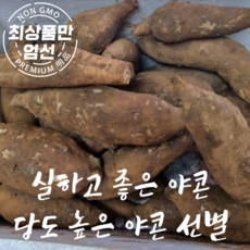 국산 햇 야콘 달큰한 농장직송 상품 야콘(마지막수량)