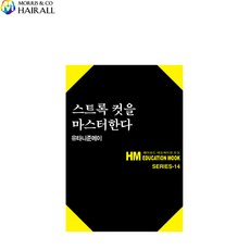 미용실염색책