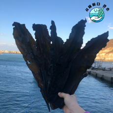 자연산 뿌리다시마 300g 백령도산 해풍에 말린 다시마 육수용 햇다시마, 1개