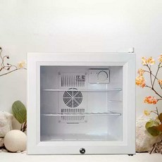 백신 냉장고 창고 저온 인슐린 주사기 약품, 30L 단일 잠금, 상세페이지 참고