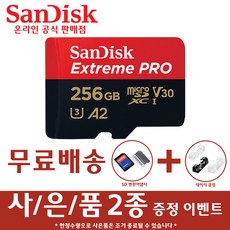 샌디스크cf256gb