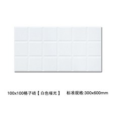 100×300백색무광타일