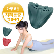 핏스팟 핏릴렉스 장...