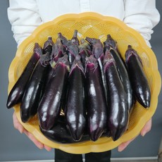 [국내산 / 산지직송] 경남 밀양산 싱싱한 축양가지(못난이), 1개, 2kg(못난이 15~17개)